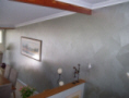 Perth Painter